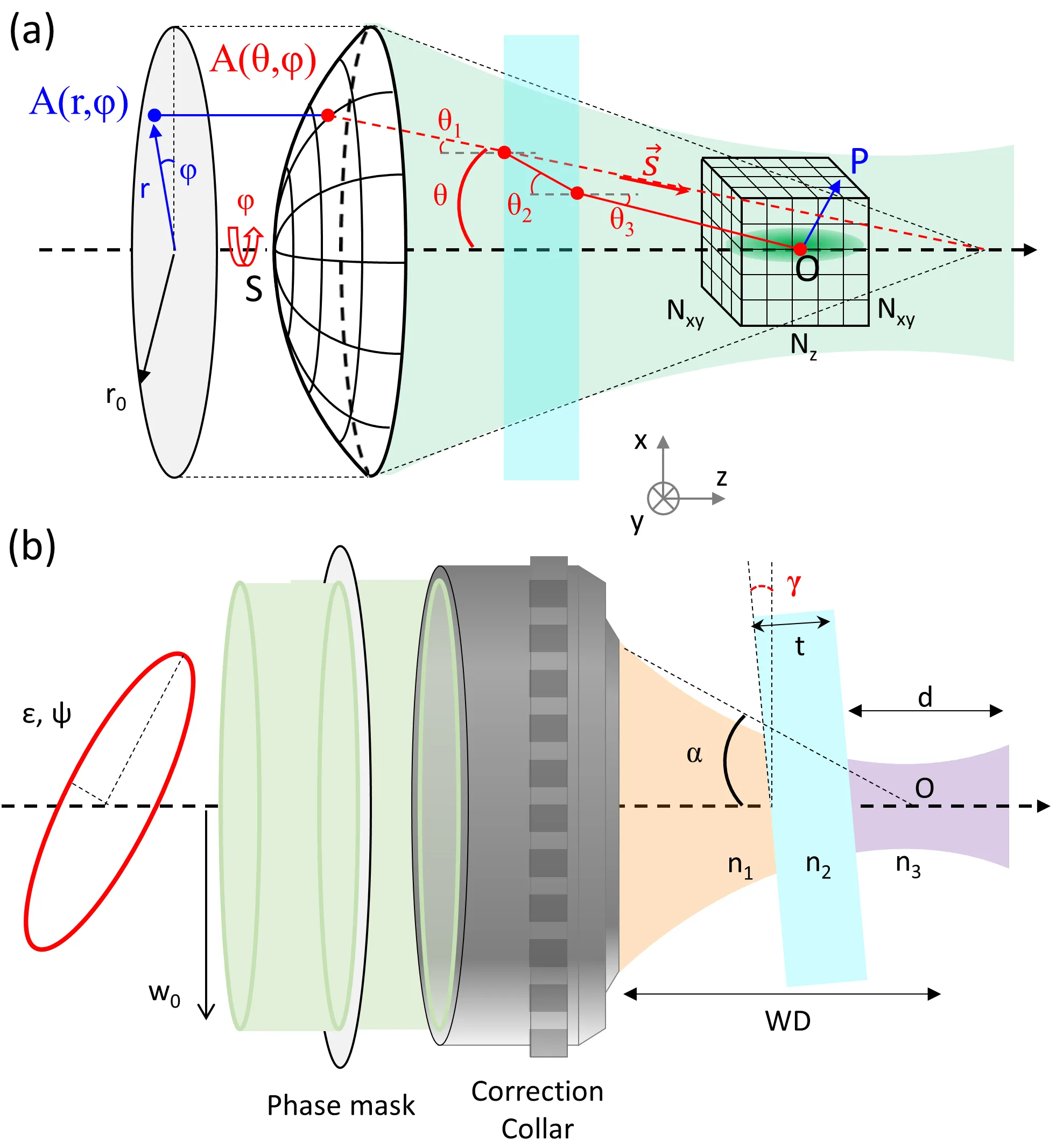 Schematic of the geometry used for the simulations.